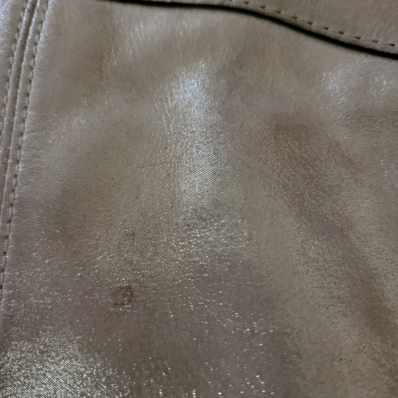 Gold Coach Hobo - Picture 5 of 9